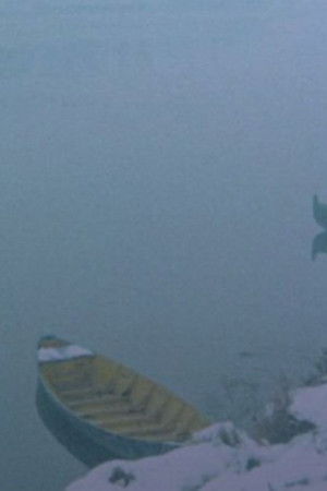 La Grande Adozione di Lodi