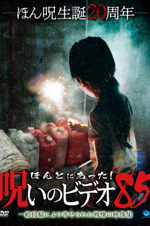 ほんとにあった 呪いのビデオ85