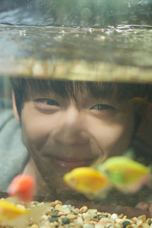 那个重逢的夜晚