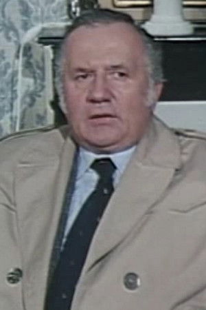 Les Enquêtes du commissaire Maigret