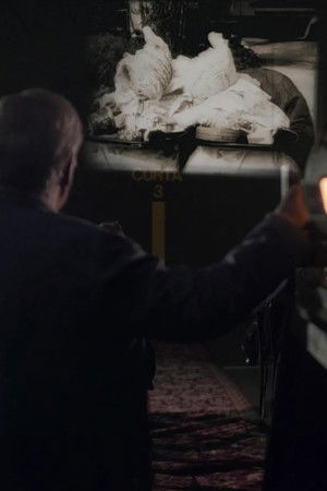 La gran il·lusió, relat intermitent del cinema català