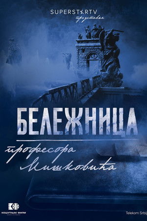 Beležnica profesora Miškovića