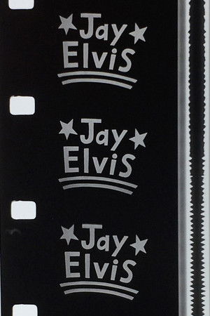 Jay Elvis