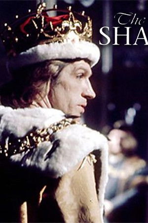 The Shadow of the Tower