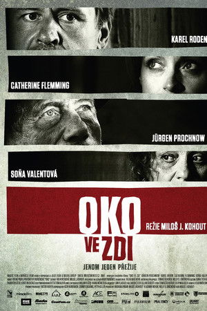 Oko ve zdi