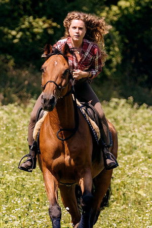 Reiterhof Wildenstein