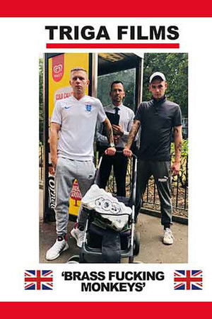 Brass Fucking Monkeys