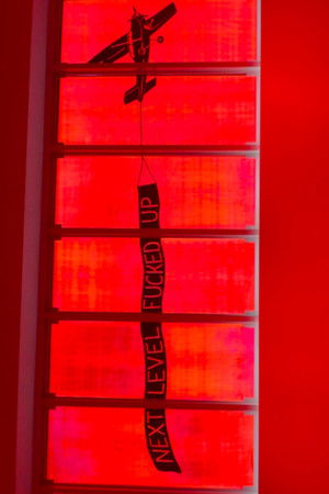 NEXT LEVEL FUCKED UP