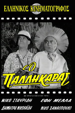 Ο παλληκαράς