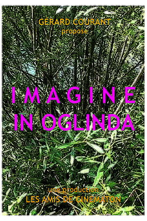 Imagine in oglinda