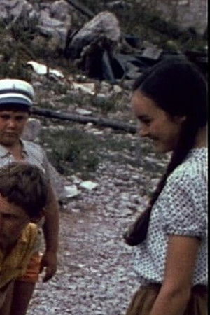 Bratovščina Sinjega galeba