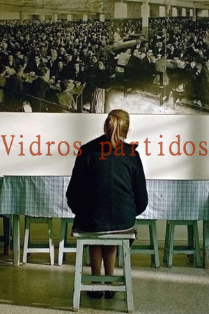 Vidros partidos