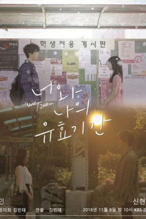 너와 나의 유효기간