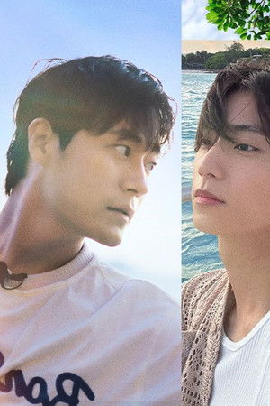 더 버케이션 인 코사무이