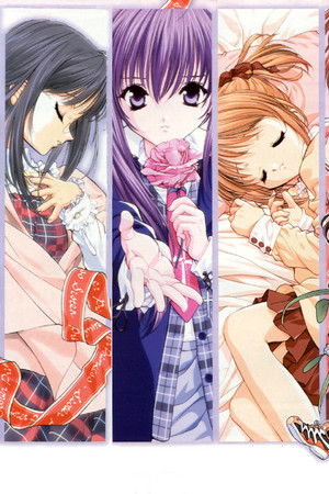 シスター・プリンセス