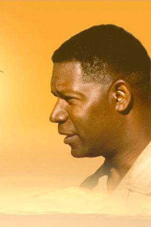 Özgürlüğün Rengi