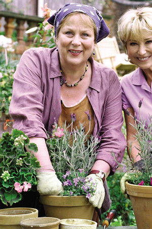 Rosemary & Thyme