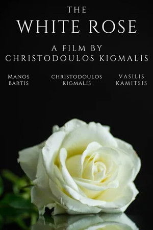 Το Λευκό Τριαντάφυλλο