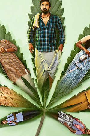 Accidental Farmer & Co.