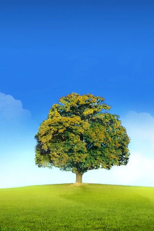 Kim Olduğunu Sanıyorsun?