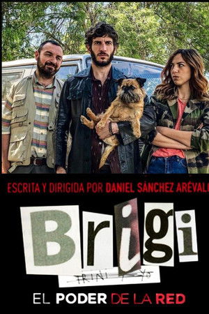 Brigi: El poder de la red