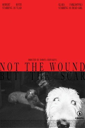 Not the Wound but the Scar