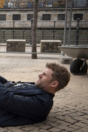 Der Bulle und das Biest