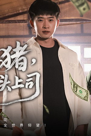 让你养猪，你娶了顶头上司