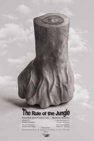 The Rule Of The Jungle