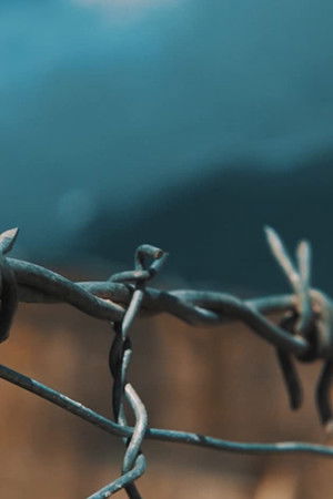 Femijet E Diktatures