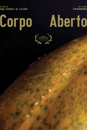 Corpo Aberto