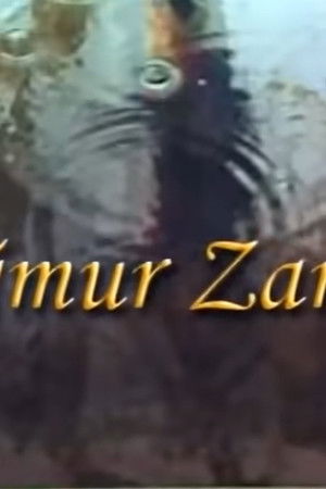 Yağmur Zamanı