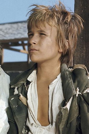 Tom Sawyers und Huckleberry Finns Abenteuer