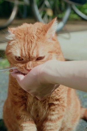 人違いから始まる恋もある