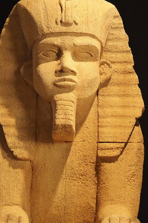 Infiltrado na Cozinha