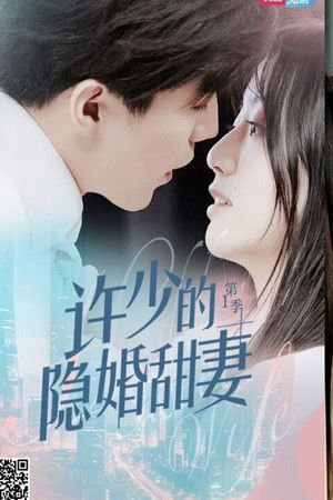 许少的隐婚甜妻