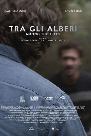 Tra gli alberi