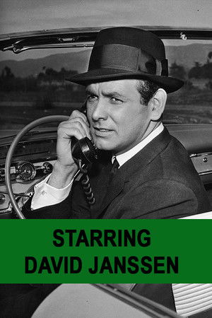 Richard Diamond, Private Detective