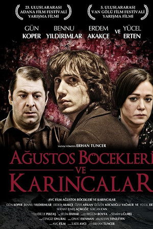 Ağustos Böcekleri ve Karıncalar