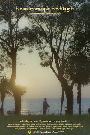 Bir An Sonra Tıpkı Bir Düş Gibi