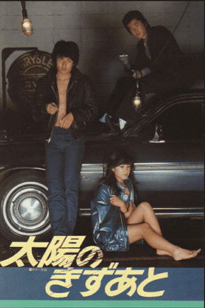 太陽のきずあと