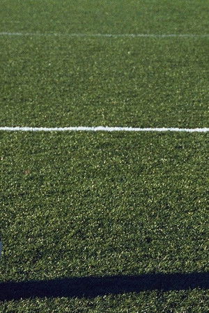 Ho sposato un calciatore