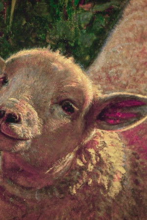 Museums in Quarantine