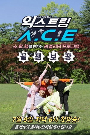 익스트림 에이스