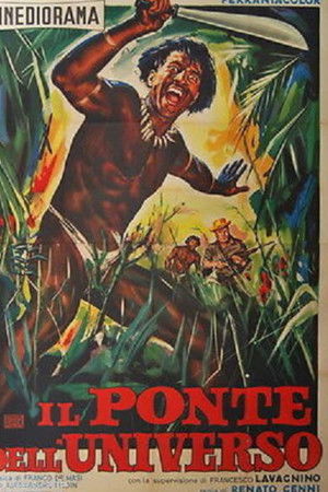 Il ponte dell'universo