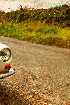 Celebrity Antiques Road Trip