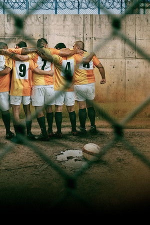 Espartanos. Una historia real