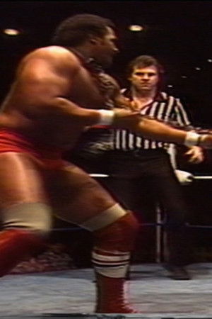 Mid-South Arena Shows