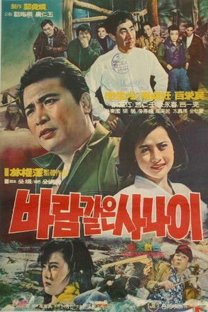 바람같은 사나이