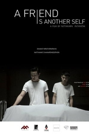 เพื่อนเป็นอีกคนหนึ่ง